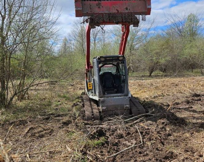 Forestry Service in Harrisburg, Missouri