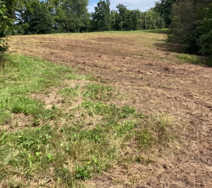 land clearing rocheport mo