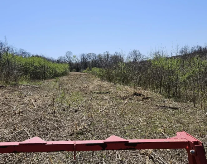 land clearing service rocheport mo